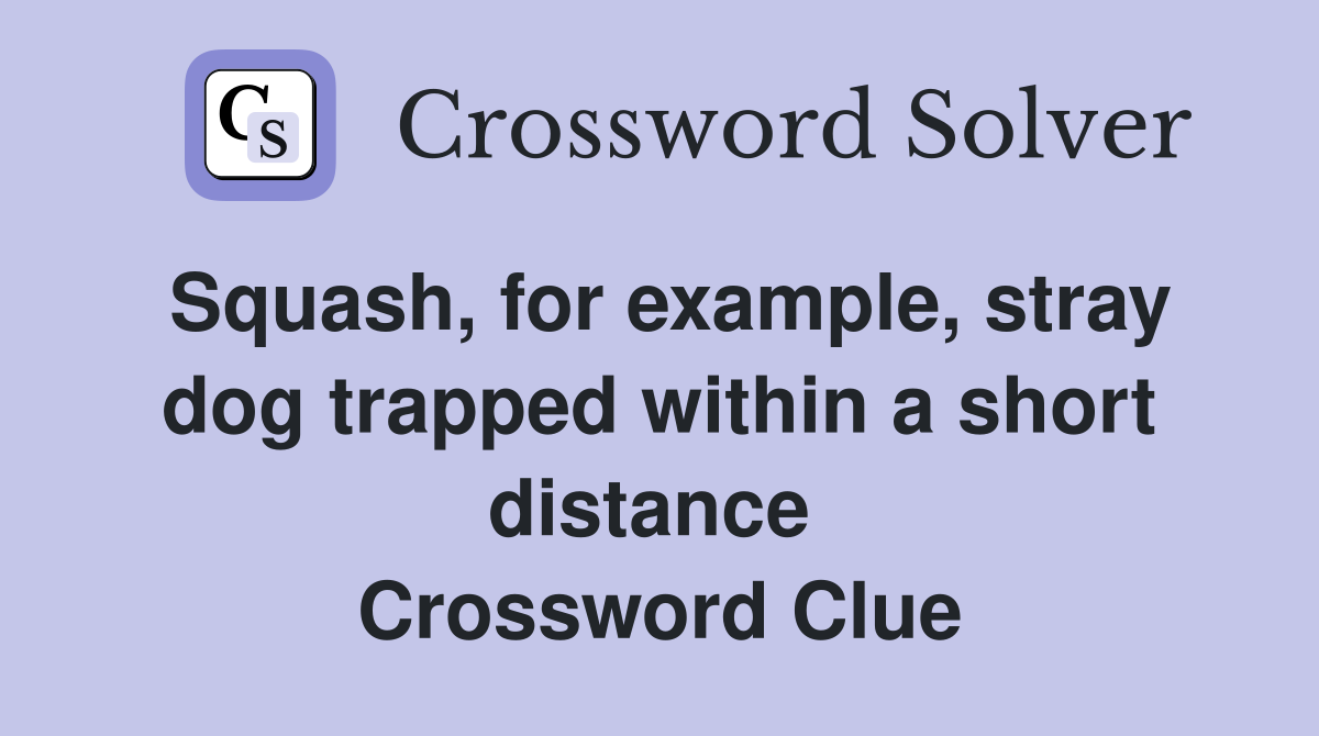 Squash, for example, stray dog trapped within a short distance  Crossword Clue