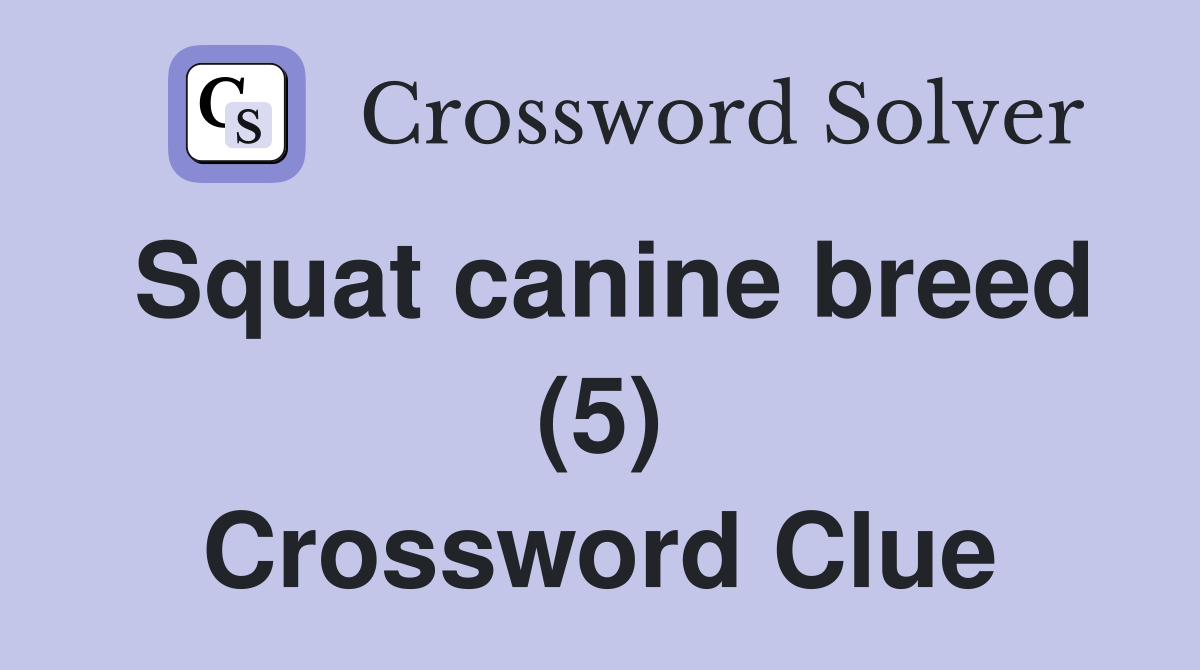 Squat canine breed (5) Crossword Clue