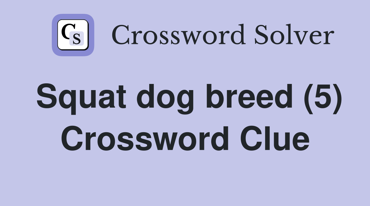 Squat dog breed (5) Crossword Clue
