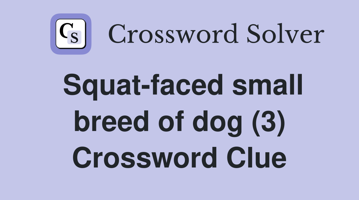 Squat-faced small breed of dog (3) Crossword Clue
