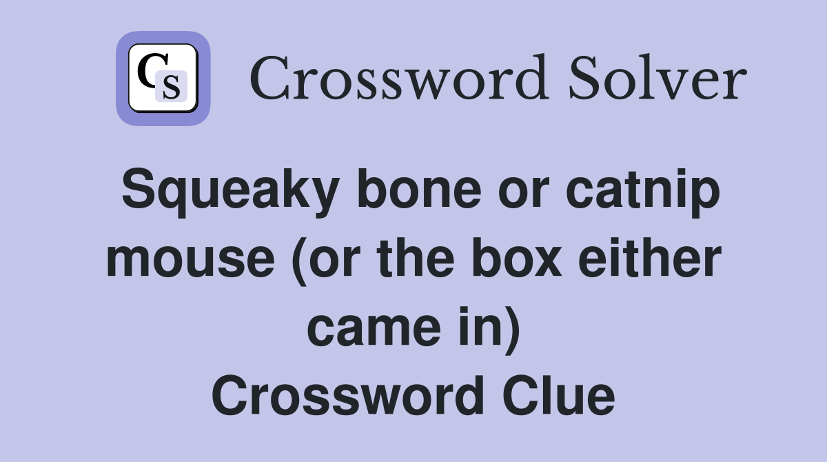 Squeaky bone or catnip mouse (or the box either came in) Crossword Clue