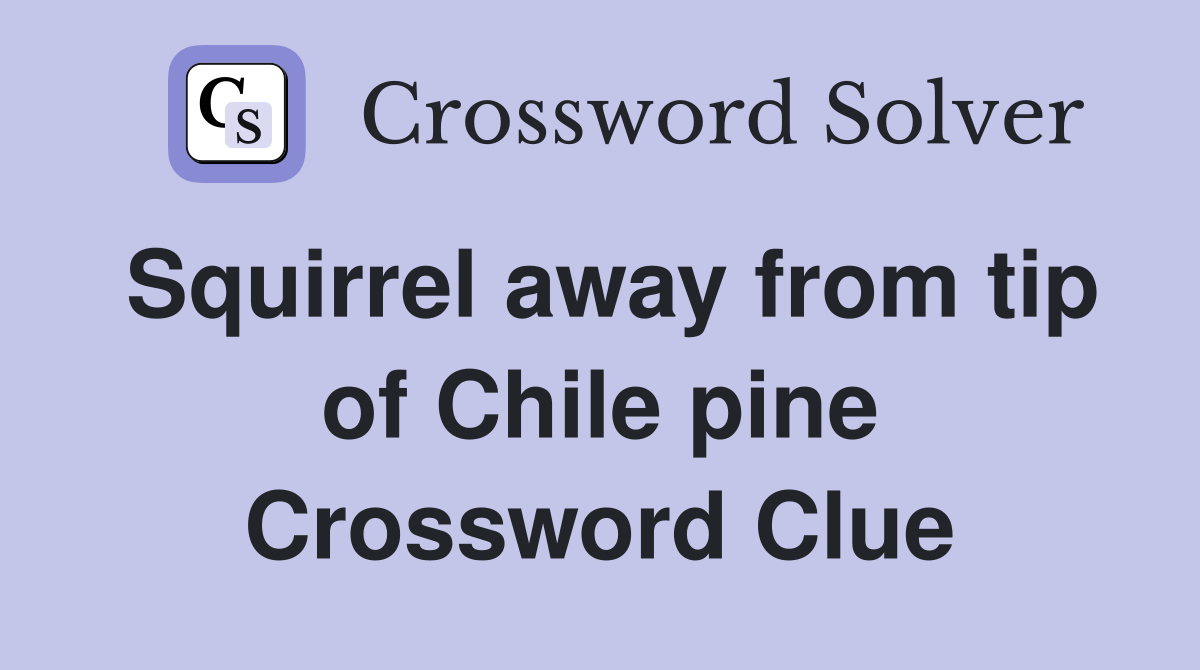 Squirrel away from tip of Chile pine Crossword Clue