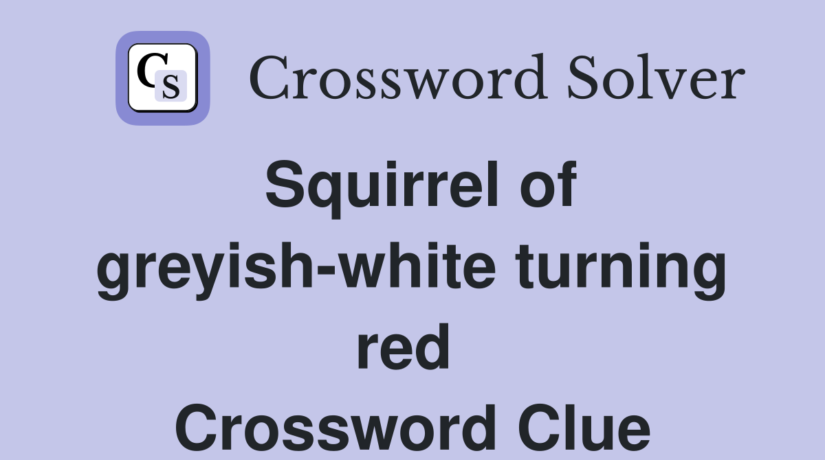 Squirrel of greyish-white turning red  Crossword Clue
