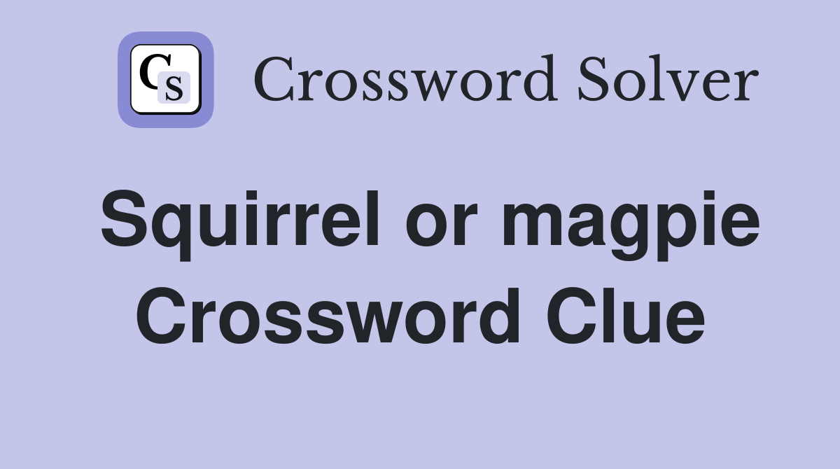 Squirrel or magpie Crossword Clue