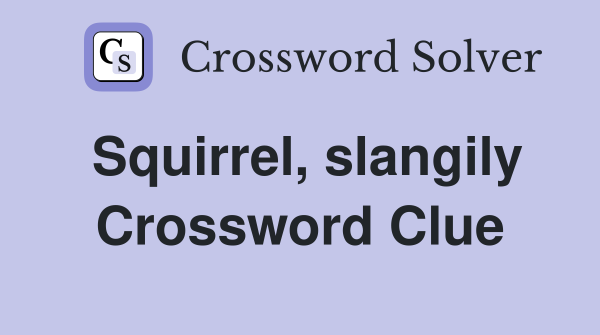 Squirrel, slangily Crossword Clue