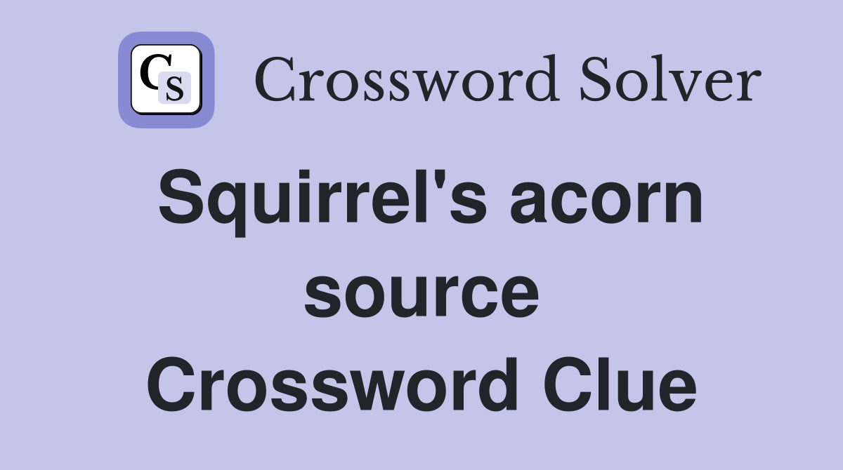 Squirrel's acorn source Crossword Clue