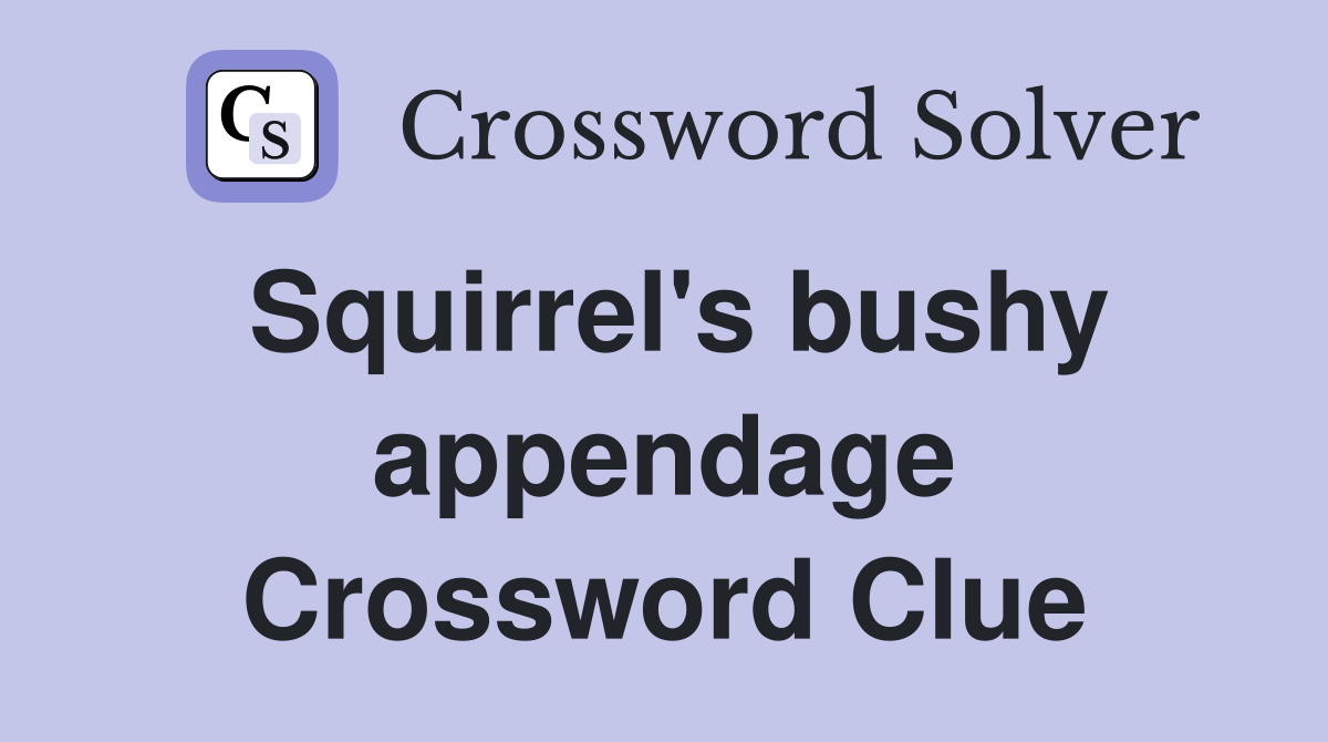 Squirrel's bushy appendage Crossword Clue