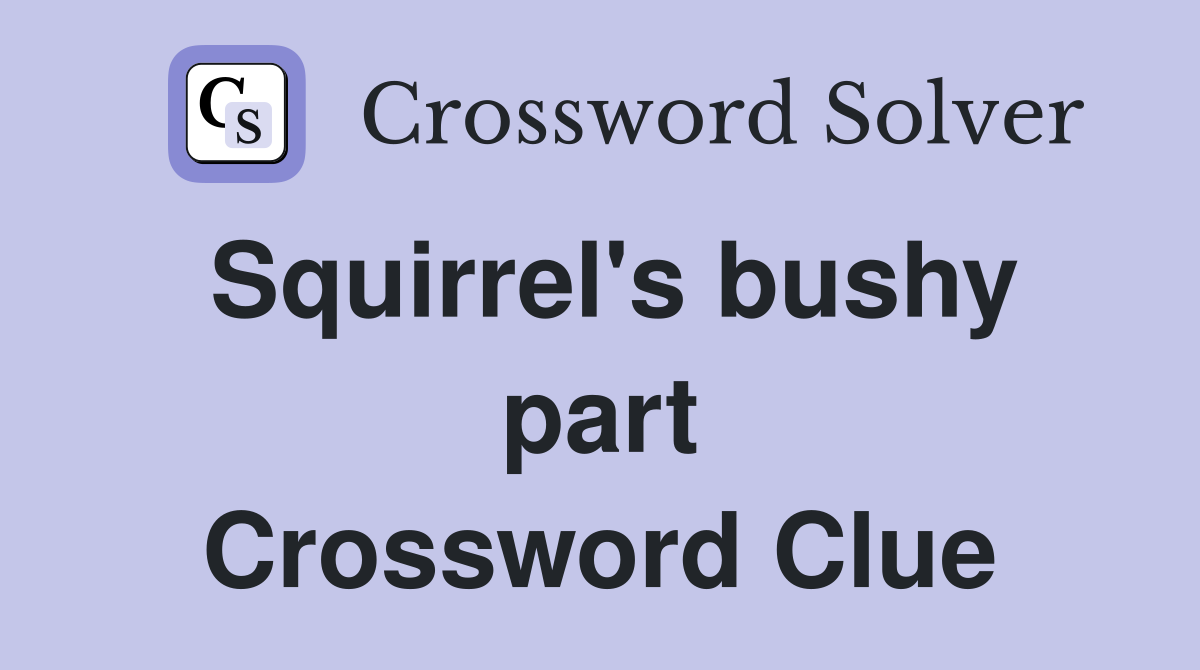 Squirrel's bushy part Crossword Clue
