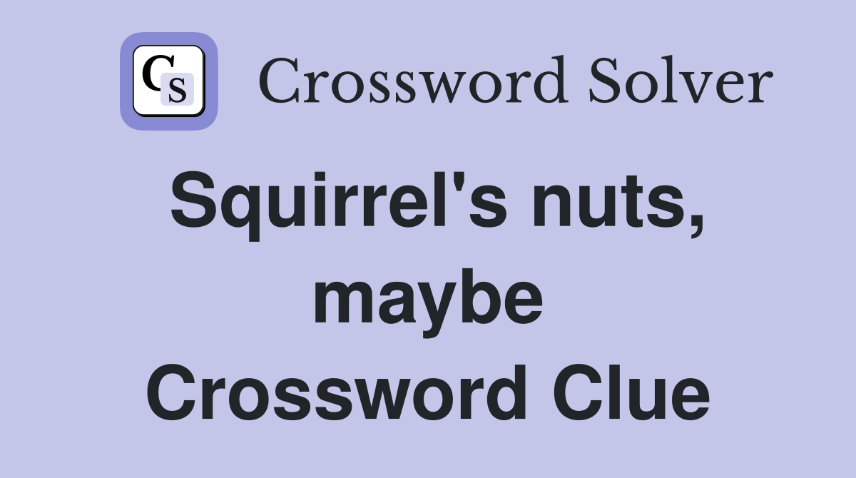 Squirrel's nuts, maybe Crossword Clue