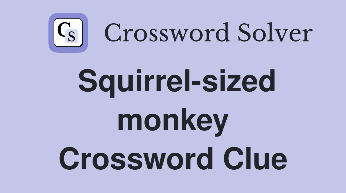 Squirrel-sized monkey Crossword Clue
