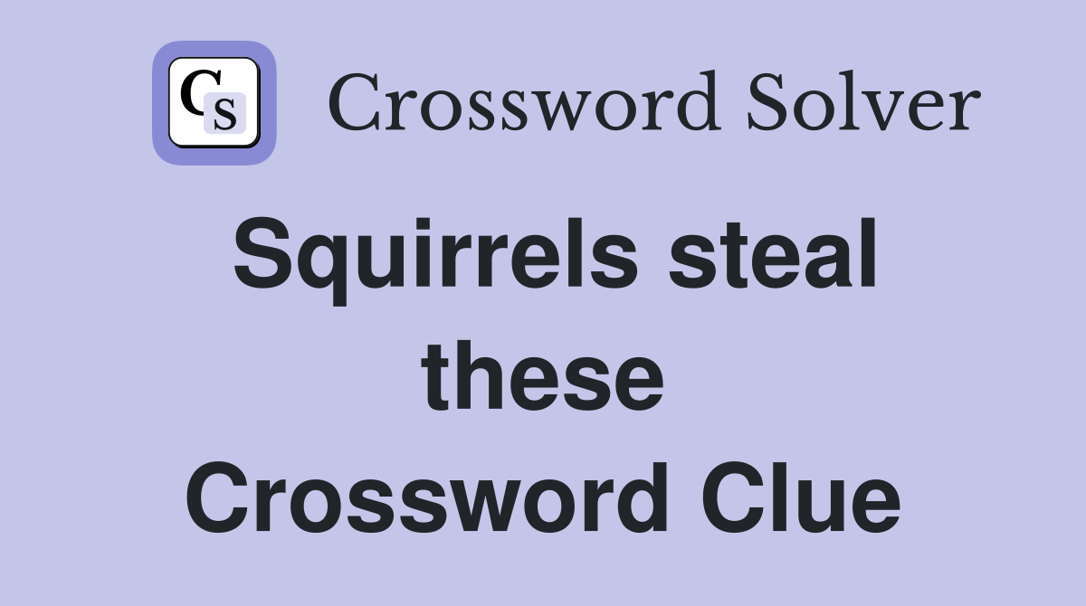 Squirrels steal these Crossword Clue