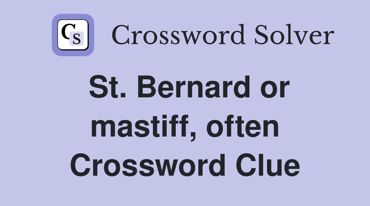 St. Bernard or mastiff, often Crossword Clue