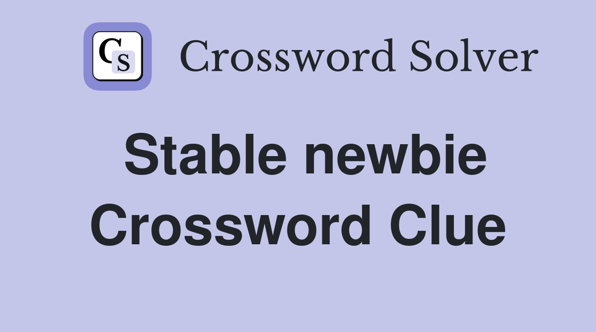 Stable newbie Crossword Clue
