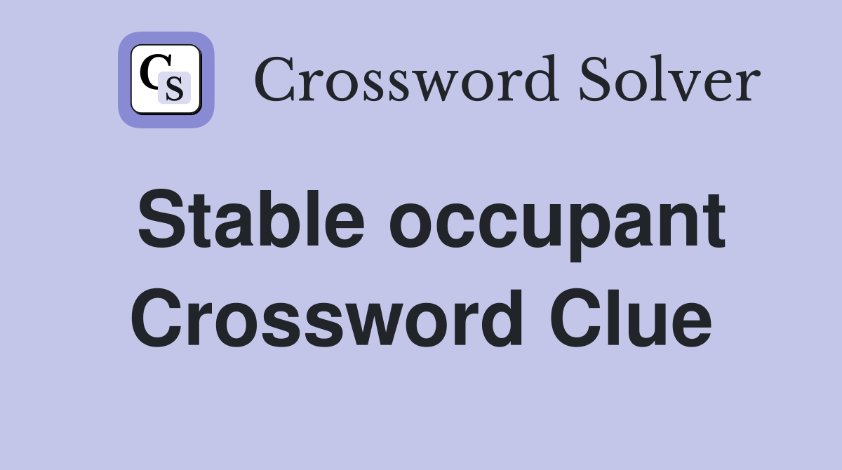 Stable occupant Crossword Clue