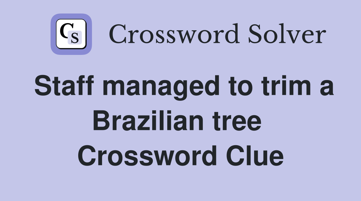 Staff managed to trim a Brazilian tree  Crossword Clue