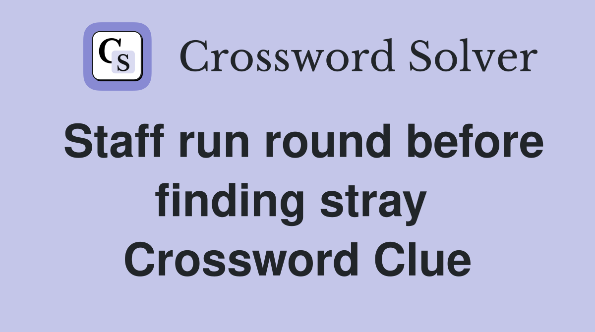 Staff run round before finding stray  Crossword Clue