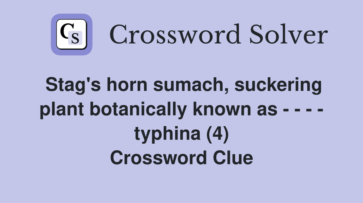 Stag's horn sumach, suckering plant botanically known as - - - - typhina (4) Crossword Clue