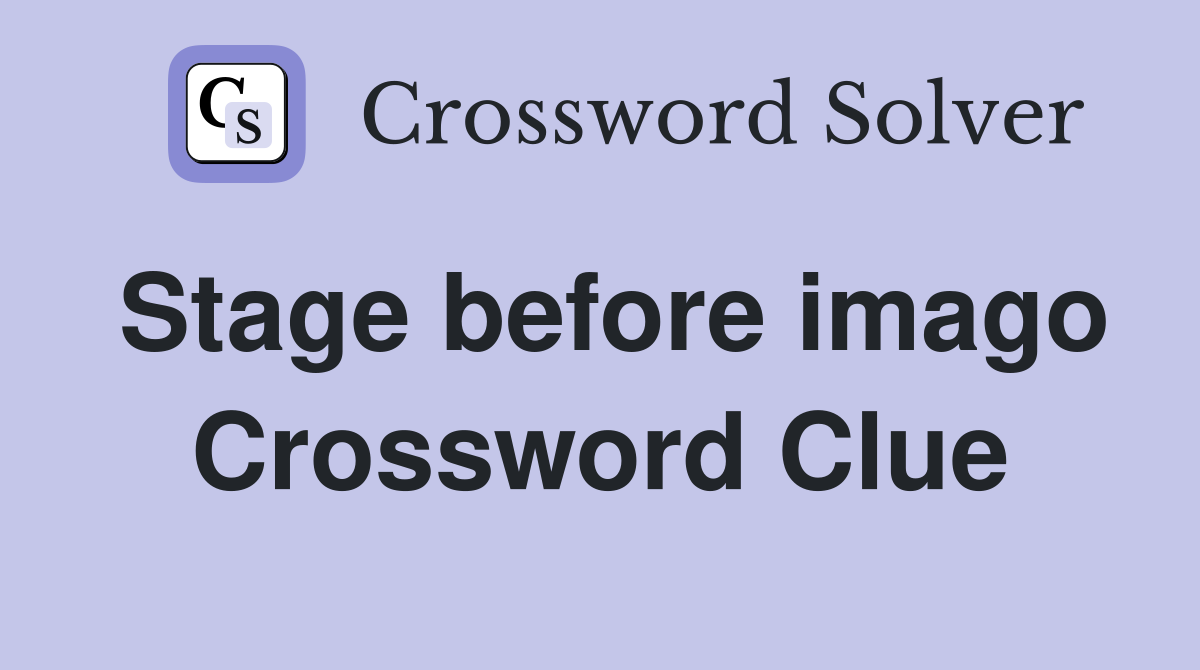 Stage before imago Crossword Clue