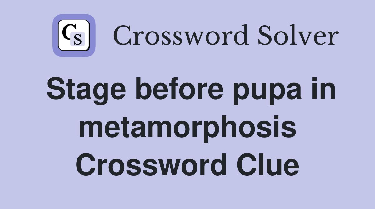 Stage before pupa in metamorphosis Crossword Clue