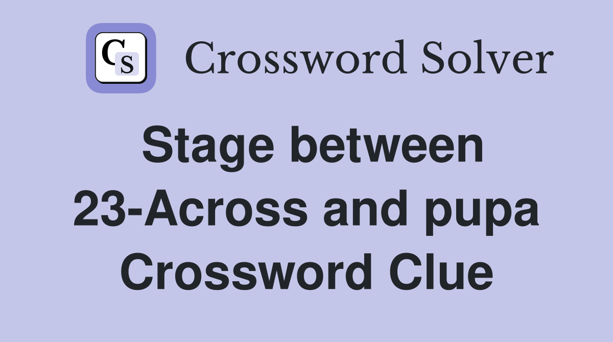 Stage between 23-Across and pupa Crossword Clue