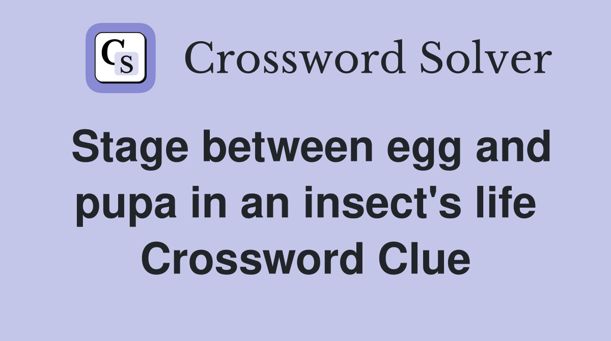 Stage between egg and pupa in an insect's life Crossword Clue