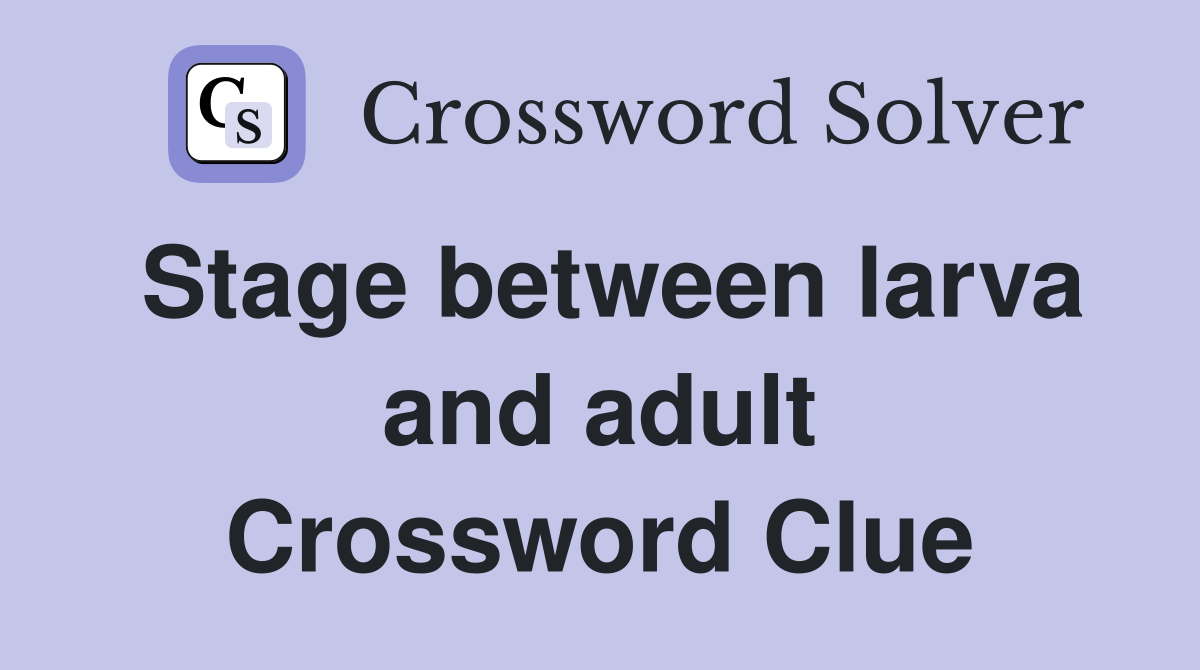 Stage between larva and adult Crossword Clue