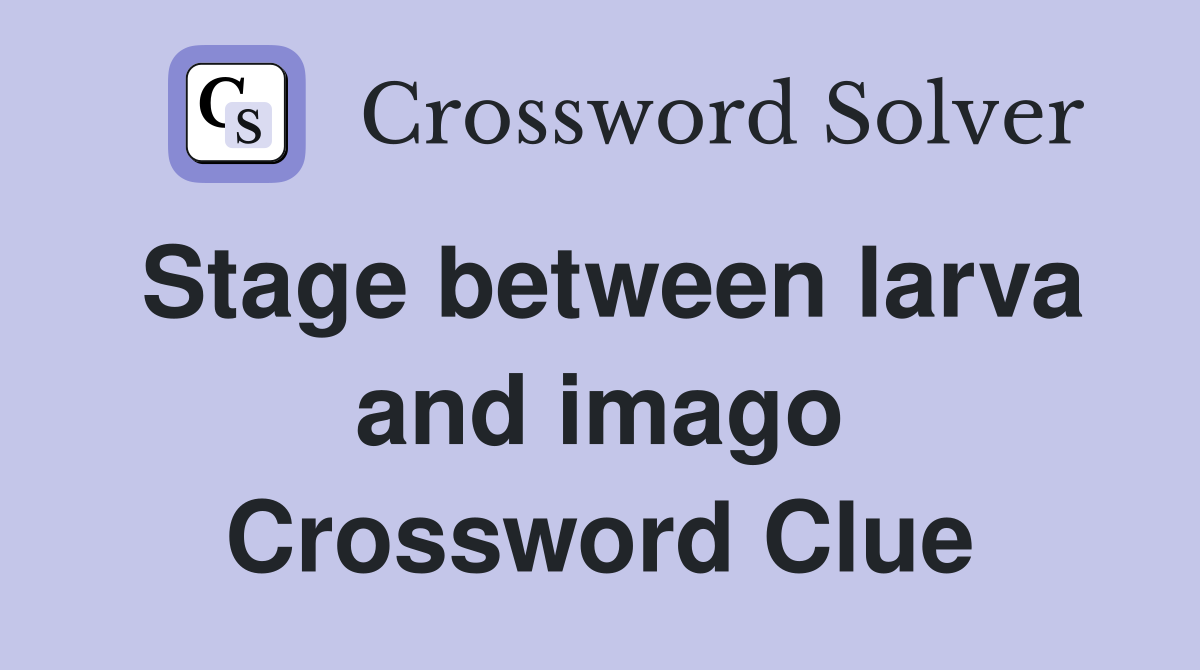 Stage between larva and imago Crossword Clue