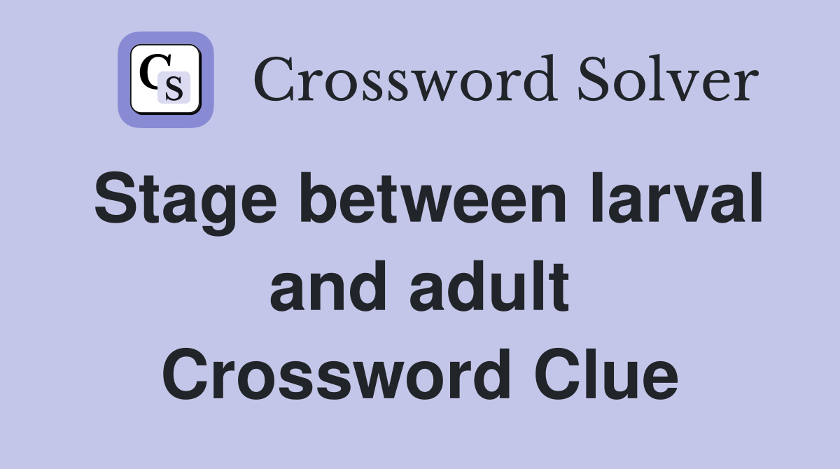 Stage between larval and adult Crossword Clue