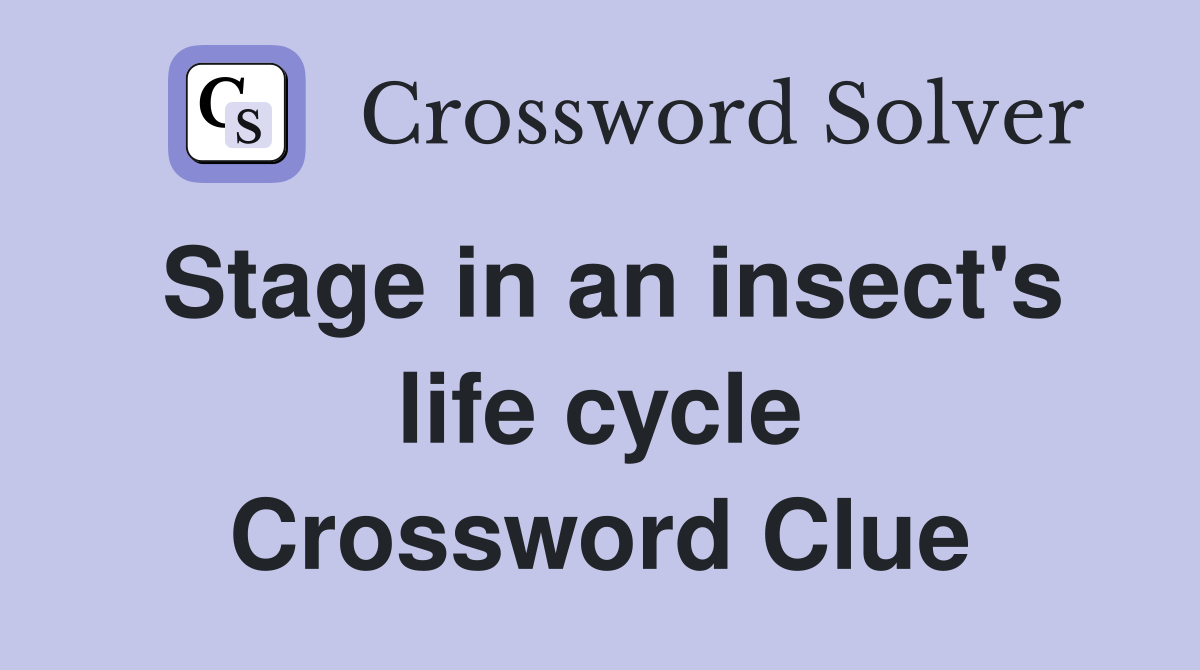 Stage in an insect's life cycle Crossword Clue