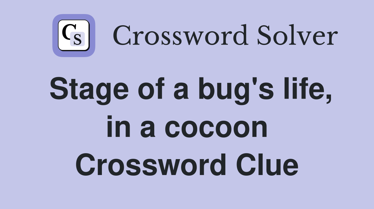 Stage of a bug's life, in a cocoon Crossword Clue