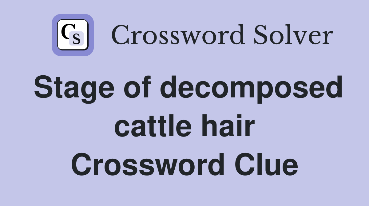 Stage of decomposed cattle hair Crossword Clue