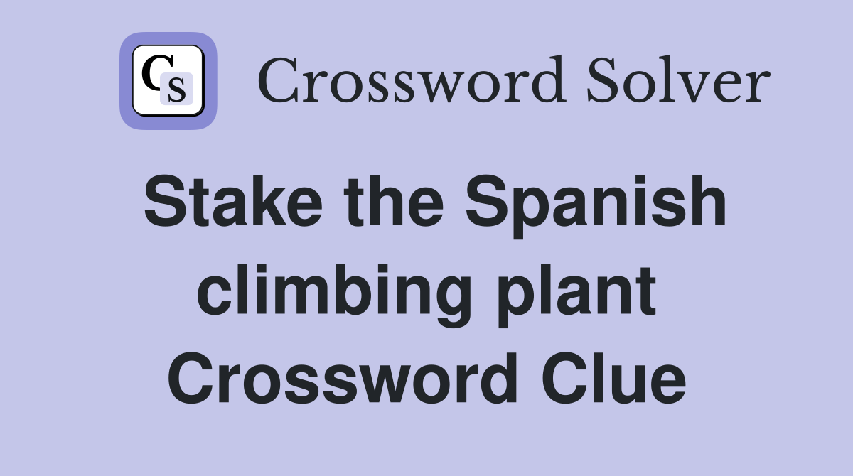 Stake the Spanish climbing plant Crossword Clue