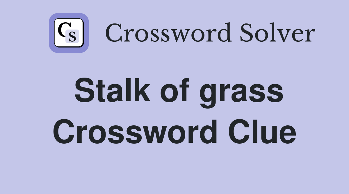 Stalk of grass Crossword Clue