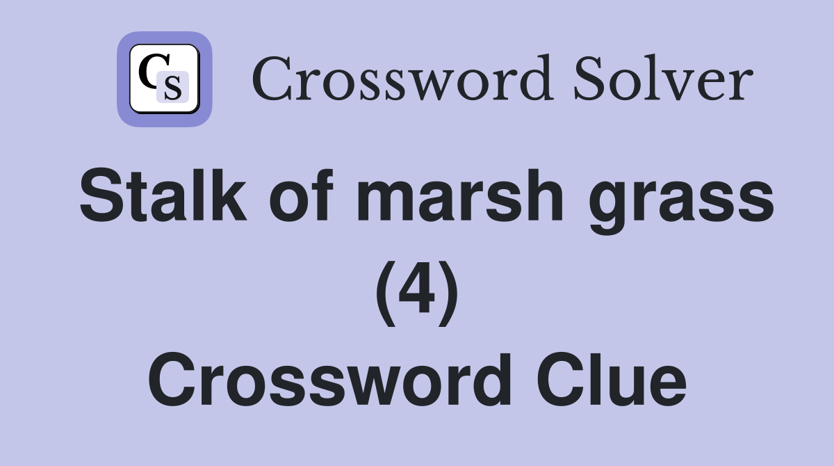 Stalk of marsh grass (4) Crossword Clue