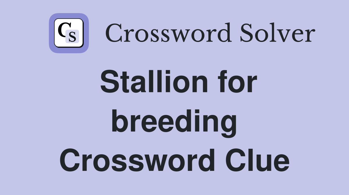 Stallion for breeding Crossword Clue