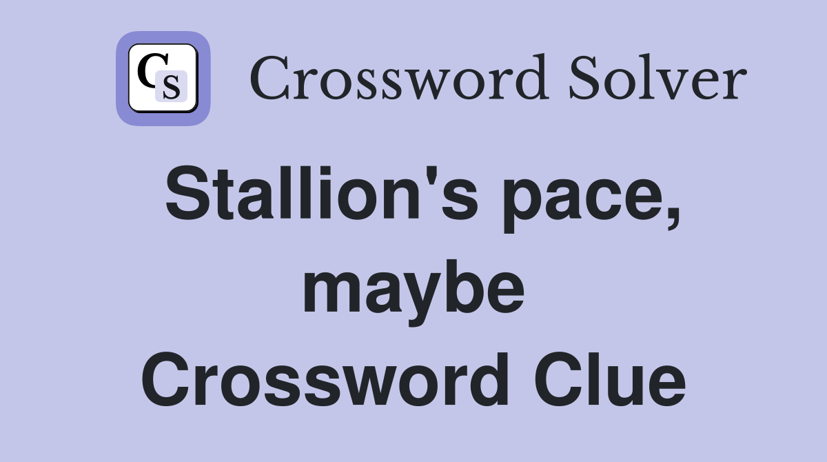 Stallion's pace, maybe Crossword Clue
