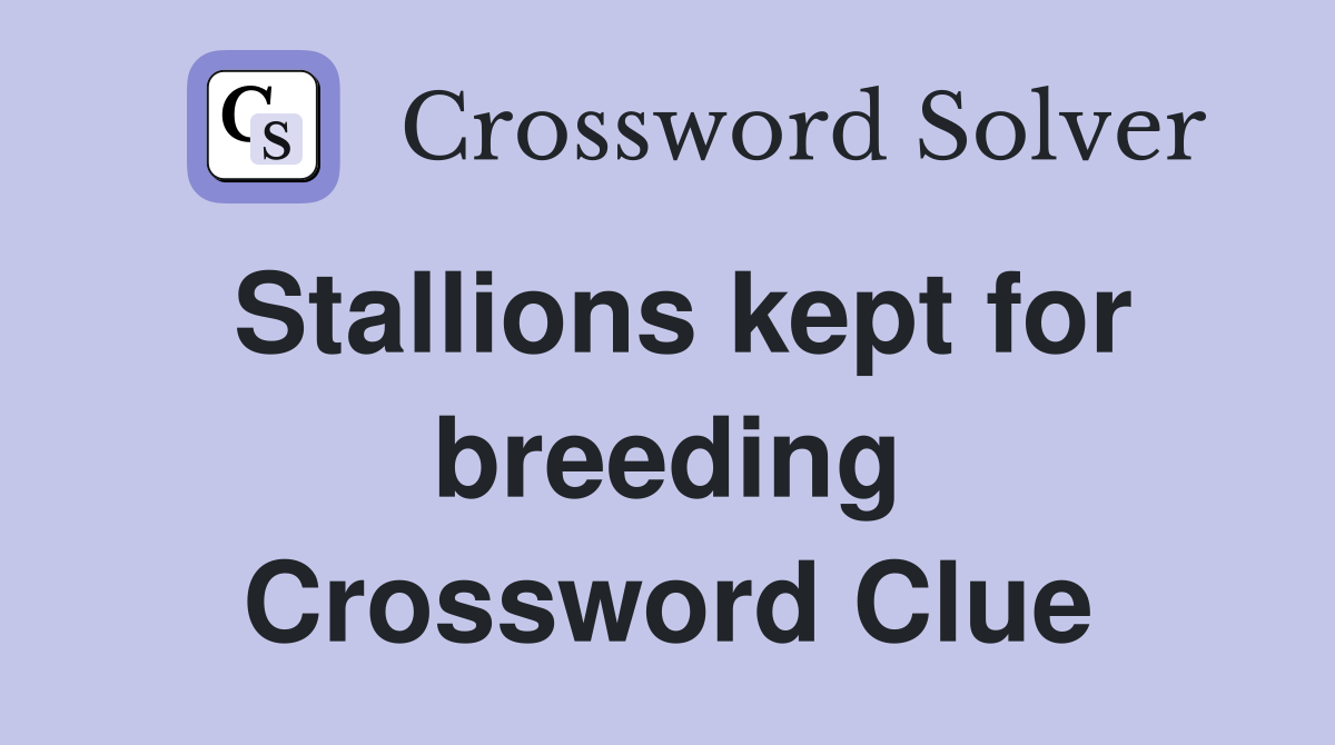 Stallions kept for breeding Crossword Clue