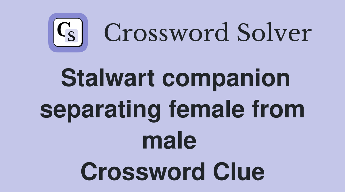 Stalwart companion separating female from male  Crossword Clue