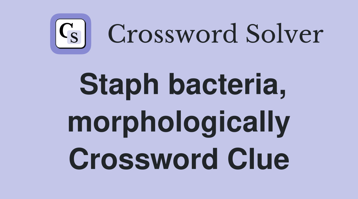 Staph bacteria, morphologically Crossword Clue