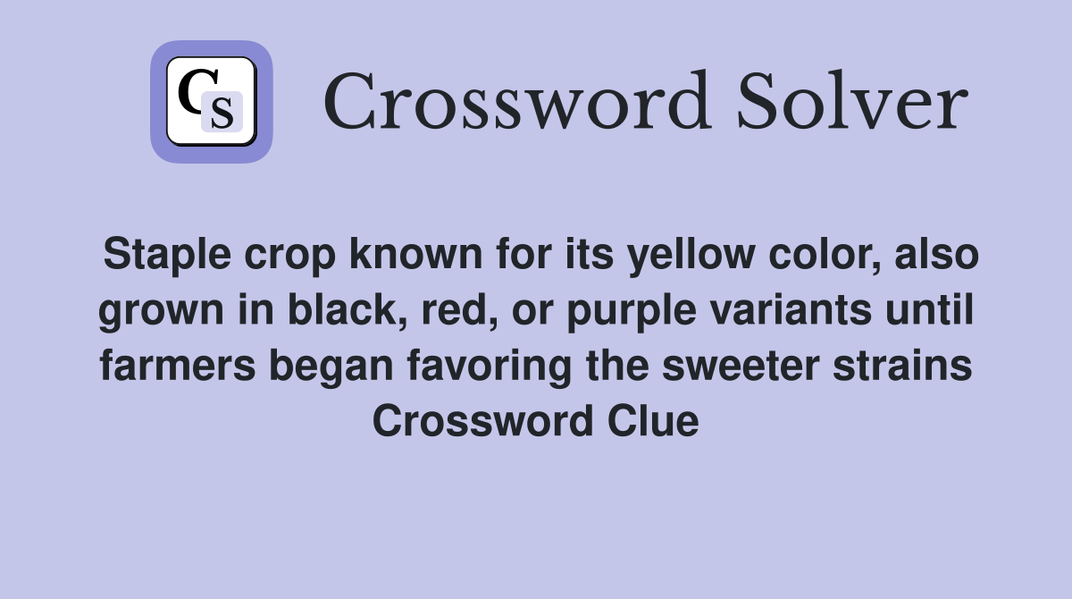 Staple crop known for its yellow color, also grown in black, red, or purple variants until farmers began favoring the sweeter strains Crossword Clue
