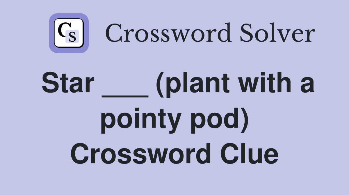 Star ___ (plant with a pointy pod) Crossword Clue