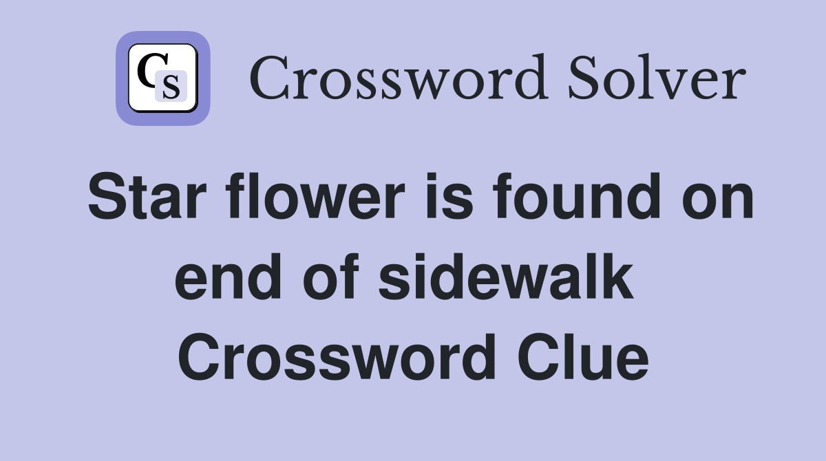 Star flower is found on end of sidewalk  Crossword Clue