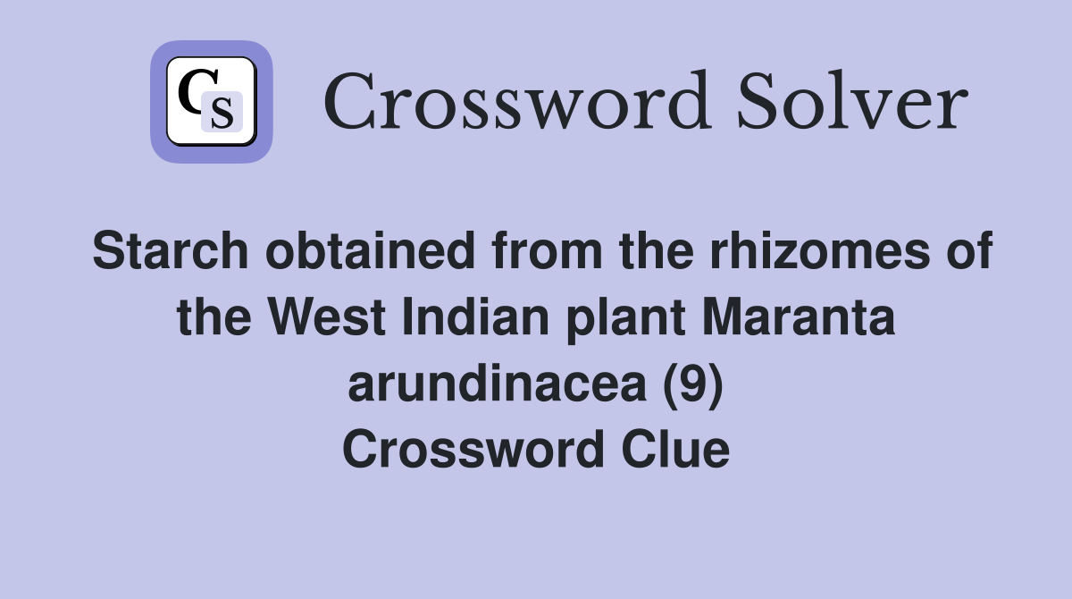 Starch obtained from the rhizomes of the West Indian plant Maranta arundinacea (9) Crossword Clue