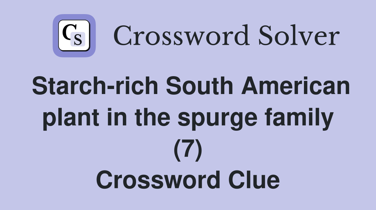 Starch-rich South American plant in the spurge family (7) Crossword Clue