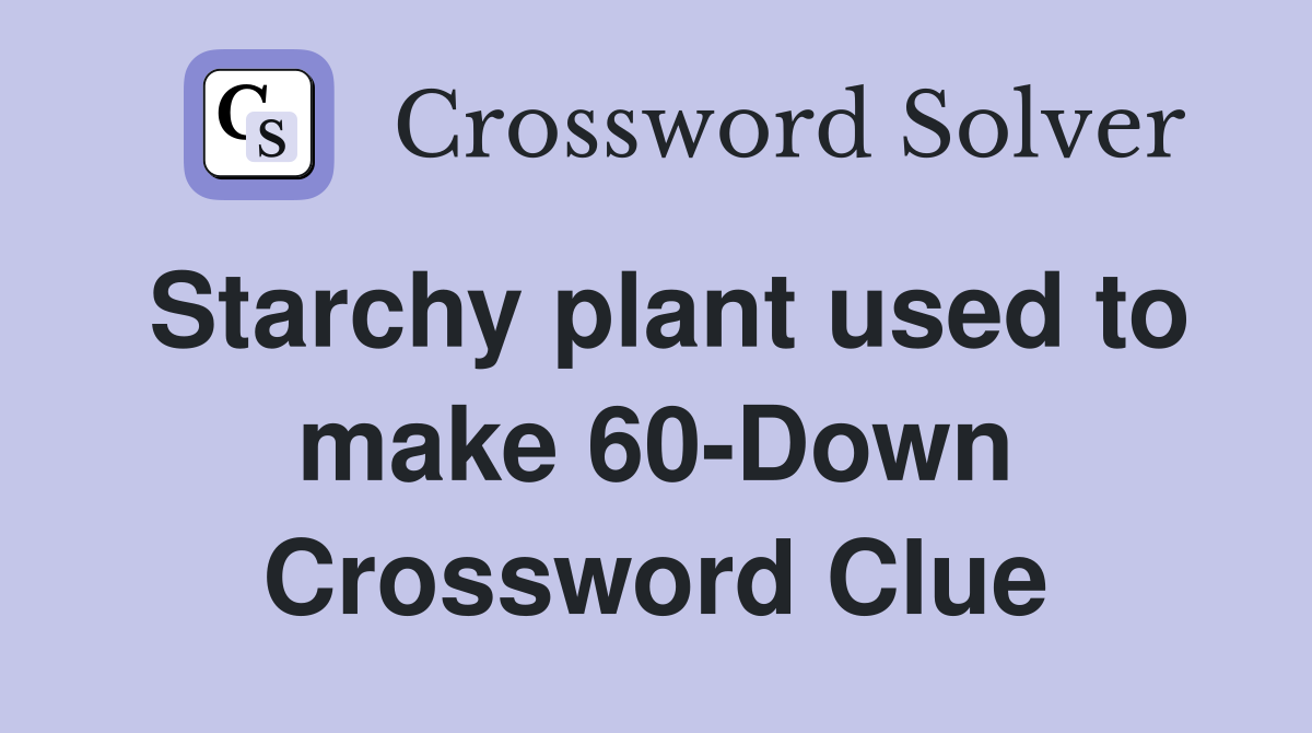 Starchy plant used to make 60-Down Crossword Clue