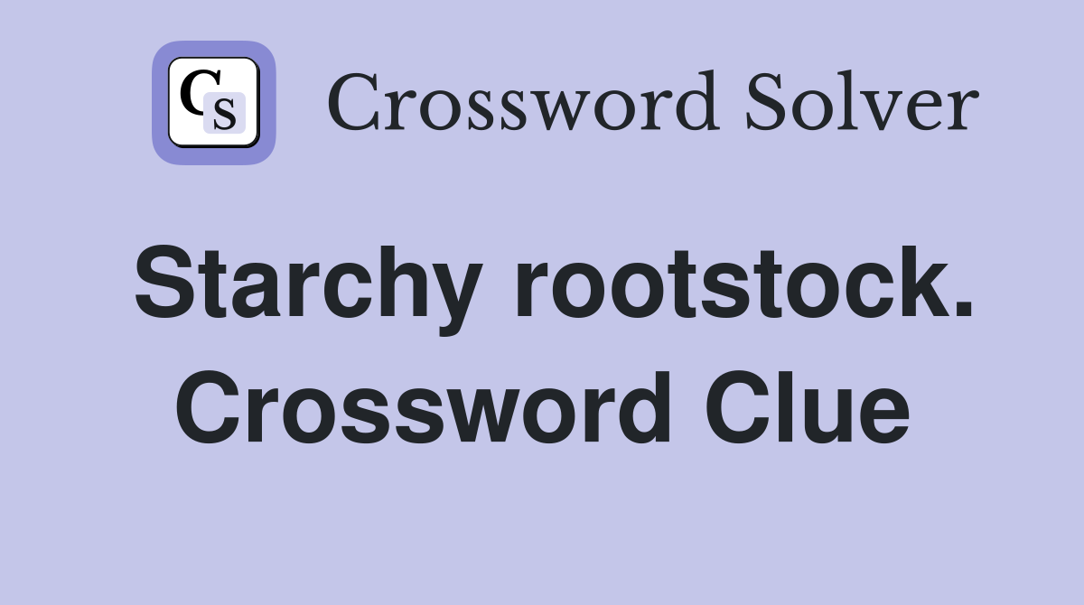 Starchy rootstock. Crossword Clue