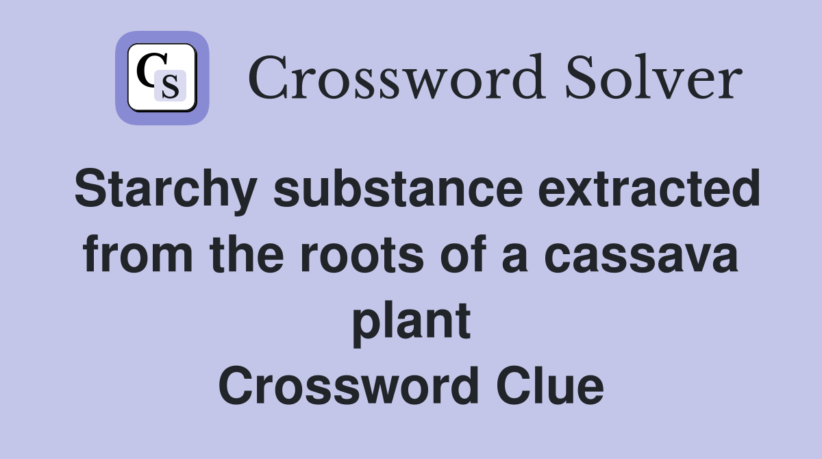 Starchy substance extracted from the roots of a cassava plant Crossword Clue