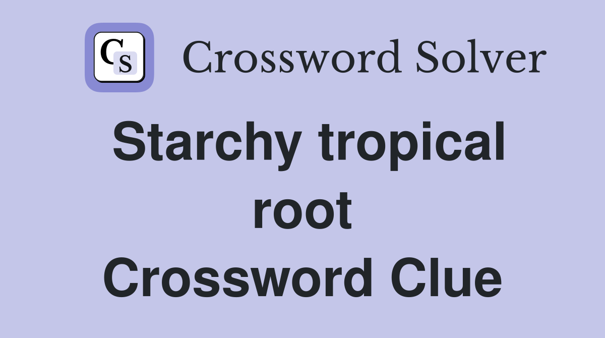 Starchy tropical root Crossword Clue