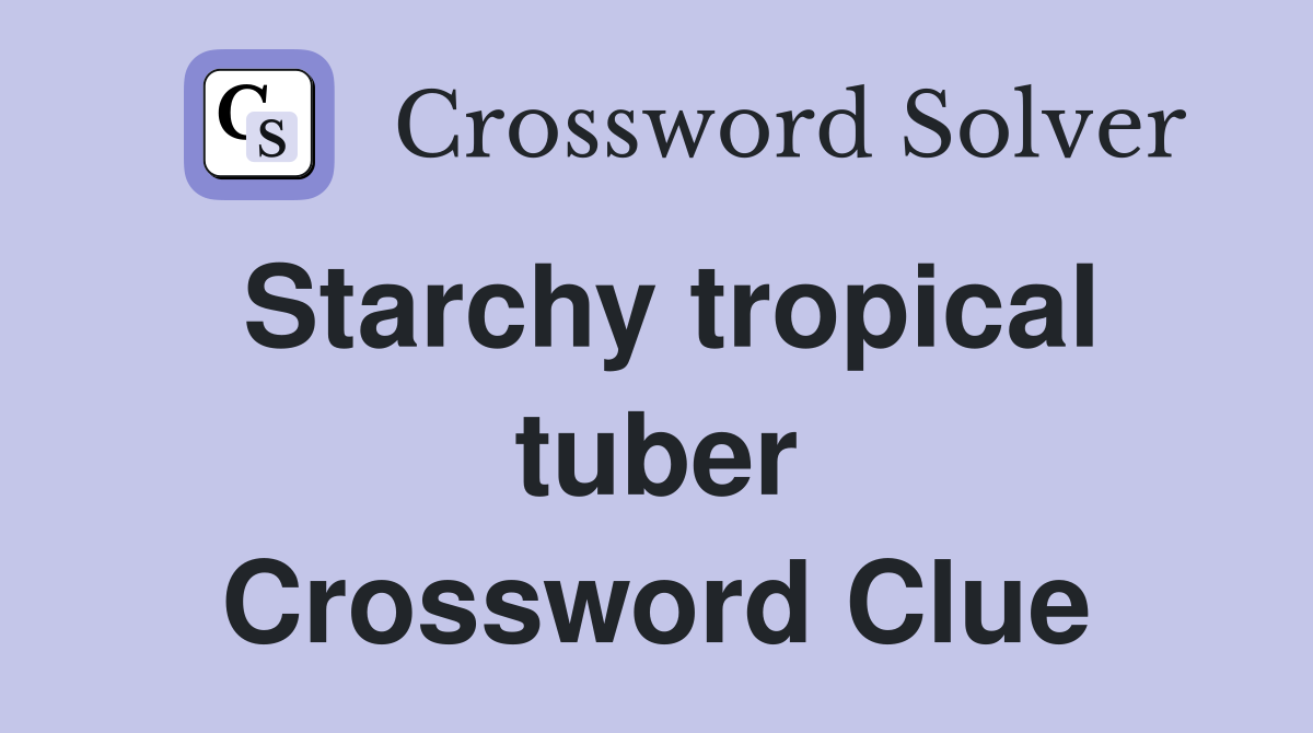 Starchy tropical tuber Crossword Clue