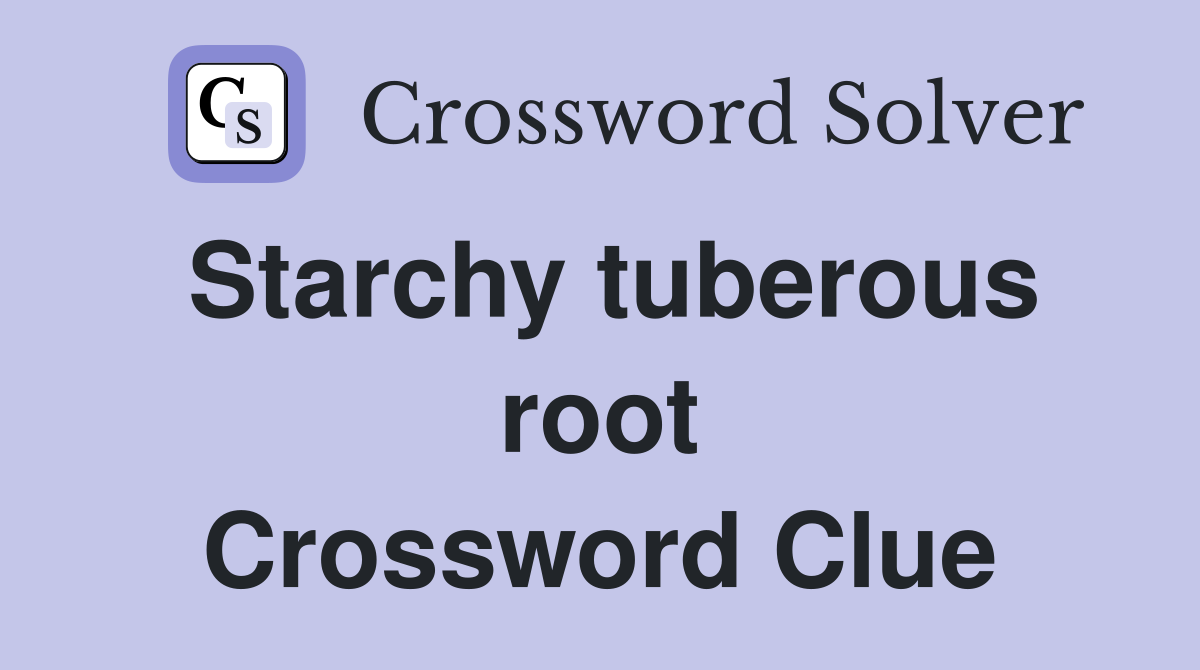 Starchy tuberous root Crossword Clue